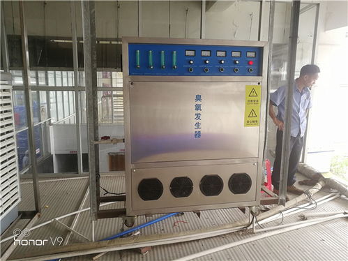 养殖场污水处理器价格 河北养殖场污水处理器 蓝奥专业臭氧生产