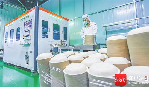 变 看海口国家高新区云龙产业园甘蔗渣变成环保餐具