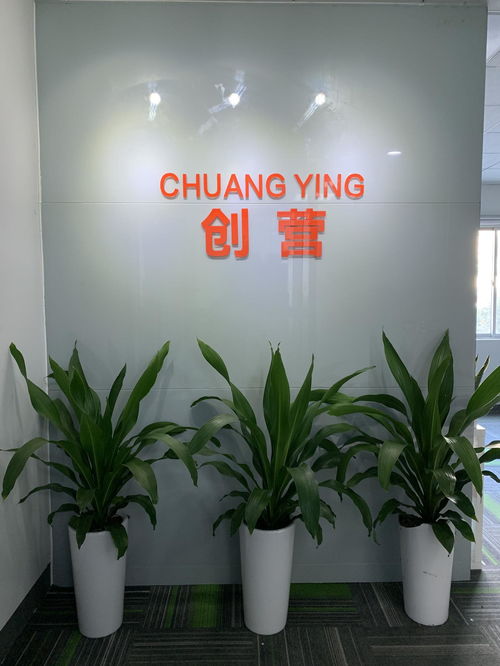 深圳市创营网络科技