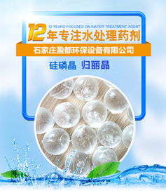台州锅炉归丽晶价格 公司动态 石家庄盈都环保科技