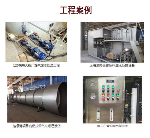 沼气火炬燃烧器厂 沼气燃烧器 无锡进帆环保科技