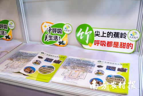 竹炭科技点亮绿色未来 广东健态实业以 黑金 破局竹业新赛道