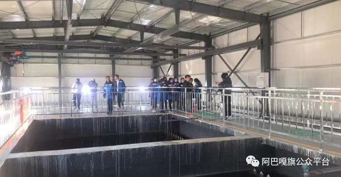 走进污水处理厂 锡林郭勒盟阿巴嘎旗开展环保设施向公众开放活动