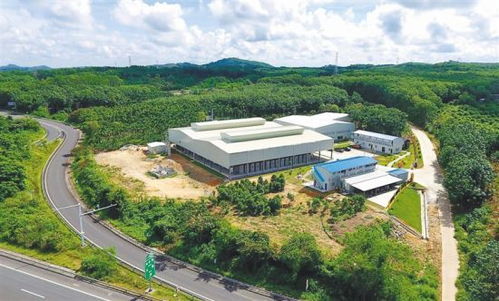 澄迈产业帮扶拔穷根 环保科技铺就可持续发展之路