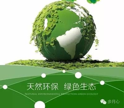 凤凰老江发现 环保科技如何定义新时代的绿色生态好产品