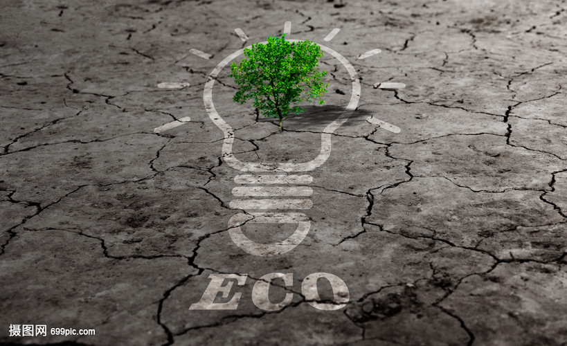 科技引领绿色未来 环保科技的发展与应用