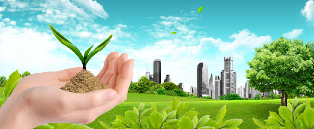 绿色未来，科技先行 我们的环保科技使命与愿景